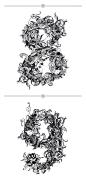 BRUSHWOOD国外花纹风格手绘黑白阿拉伯数字字体设计欣赏-平面设计 - DOOOOR.com #采集大赛#