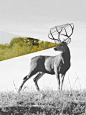 Using planes / Interesting way to incorporate (found) footage into a (filmic) portrait.: 