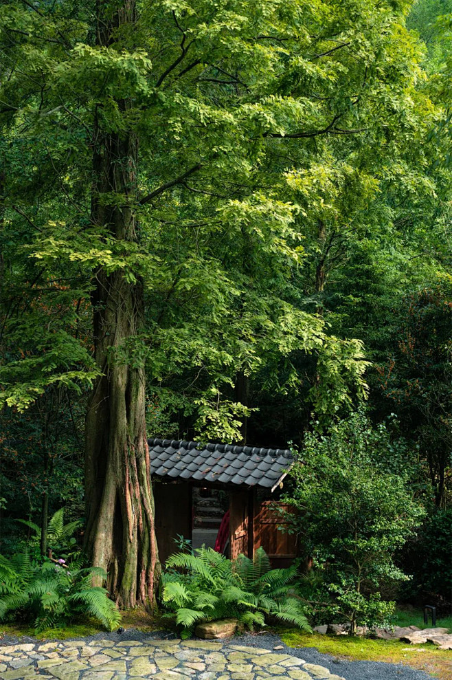 新作首发 | 不宿·久之森林 / 予山景...