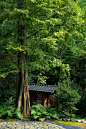 新作首发 | 不宿·久之森林 / 予山景观