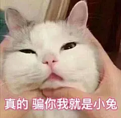 为什么很多知乎用户喜欢使用猫咪的表情包？ - 知乎