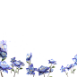 【夏夜粉福】花卉篇——哥伦拜恩花打算做个一系… - 半次元 - ACG爱好者社区