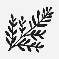 芳香草本植物矮灌木自然图标_88ICON https://88icon.com 芳香草本植物 矮灌木 自然 叶子 室内植物 森林 树叶 环境 生态 不开花灌木 芳香植物