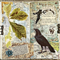 constance rose designs collage junk journal