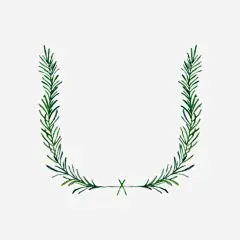 绿叶U型装饰边框图标高清素材 图标设计 对称绿叶花边 徽章设计 相框 绿叶 装饰框 边框 免抠png 设计图片 免费下载