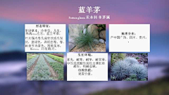 水歌歌采集到植物习性