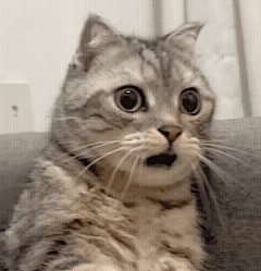 突然有个想法，就是牢博为什么看到特蕾西亚逆向结构源石会心态炸裂_看图_明日方舟吧_百度贴吧