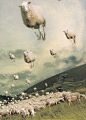 Envol. I love this painting! flying sheep well, they are field clouds after all cool surreal art for wool lovers