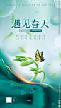 春天海报