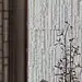 印际 - 诗意空间 x 金众·麒麟公馆泛会所 : 西丽湖以西，麒麟山以南，行数百米，驻足于沁园路一侧，金众•麒麟公馆大隐隐于此。坐享自然湖山景观，国宾上境，学府林立。于都市繁华之中，辟地一隅，闹中取静，营造诗意栖居地，建构都市桃花源。