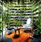 The vertical garden in this house reconnects the residents with nature