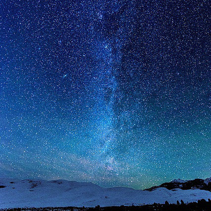 如果你爱上了某个星球的一朵花，那么，只要...