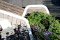 郁郁葱葱的屋顶花园 by Terrain-mooool设计