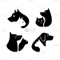 狗,品牌名称,猫,可爱的,商务,背景分离,动物,小狗,动物头,绘画插图