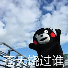 熊本熊 表情包