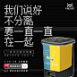 天猫的照片 - 微相册