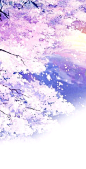 来自相册
