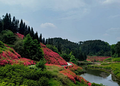 hm2005采集到花海