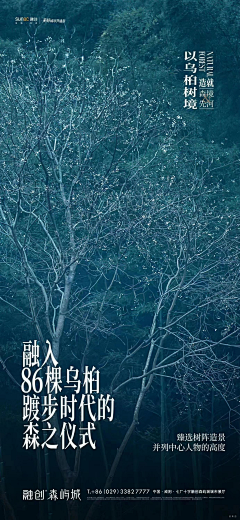 Liz--栗子采集到S