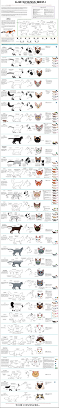 Guide to Housecat Breeds 1 by `majnouna on deviantART