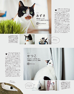 潘潘he潘潘采集到学习