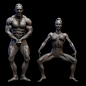 Muscle references for 3D sculptors bundle 40