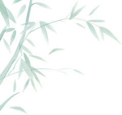 mx南清荣采集到素材