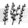 白色,分离着色,嫩枝,黑色,柳树,华丽的,复活节,直的,植物群,春天