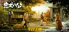 【#电影 ：忠犬八公#】海报。
