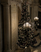 Photo by HAN EARL 한얼 on December 03, 2023. May be an image of christmas tree, candle holder, the Pantheon, the Basilica of the National Shrine of the Immaculate Conception and text.