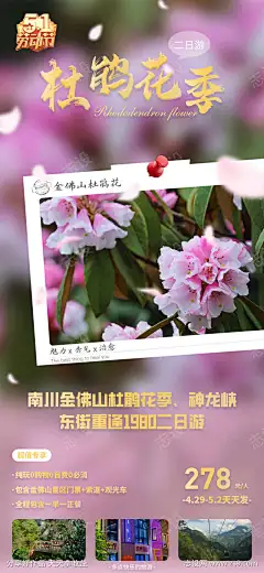 重庆金佛山二日游海报_源文件下载_作品编号:2025102009245614_PSD格式_1080X2340像素-重庆金佛山旅游海报,旅游海报,平面设计,线上广告,朋友圈广告设计,金佛山旅游,重庆旅游-源文件下载-志ʹ֣֤֚֫֗ׄ设˲͓͕͔͐͑͗ٚٛٙ网