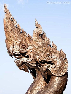 Zhutum采集到印度