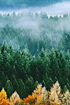 古月hhh采集到天空/海景/花