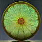 Luminous Portraits of Sliced Fruit Glow Like Stained Glass Windows : Artist Dennis Wojtkiewicz paints enormous portraits of sliced fruit, often scaling four feet across or more. Each oil on canvas painting focuses exclusively on the edible subject, with d