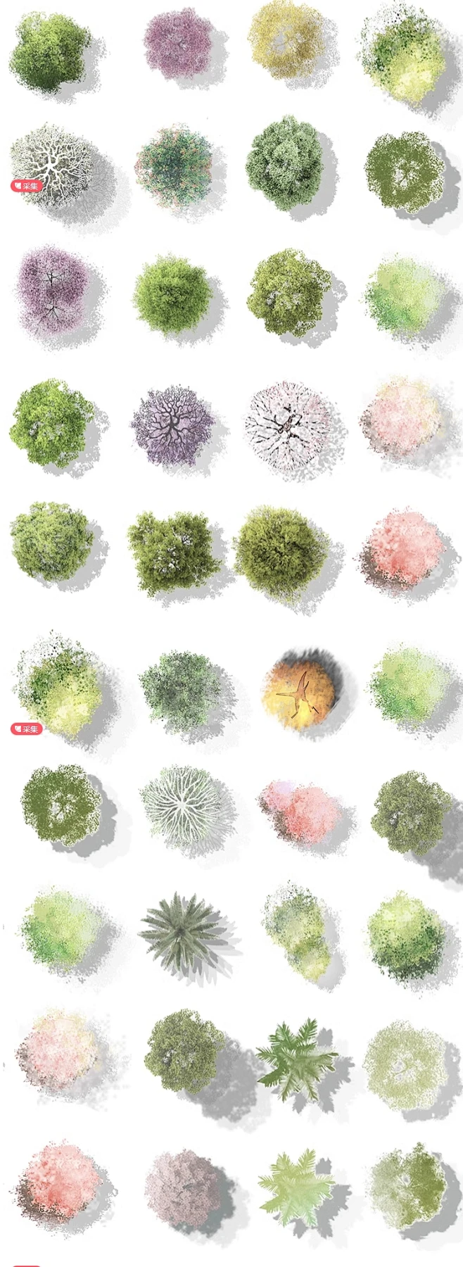 2024新PS小清新彩平植物psd分层素材建筑景观彩平植物ps免扣素材-花瓣网