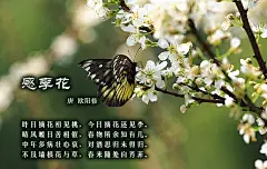 插画      【诗配画】中国古诗词 · 百花篇