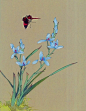 中国工笔花鸟-翩跹的蝴蝶和蓝色兰花
