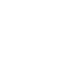鲜菇麦子采集到光影
