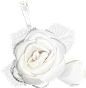 欧式唯美婚礼白色蕾丝花朵戒指相框装饰免抠PNG图案 手账影楼素材 (144)