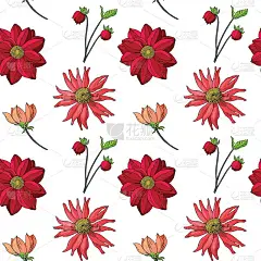 无缝图案的秋季花，花蕾:大丽花，百日草。手绘矢量插图孤立在白色背景。