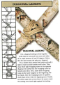 Pin page