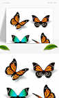 逼真可爱的蝴蝶图案矢量素材