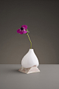 Indefinite Vases,就算只是花瓶,也要美得惊世骇俗,图嗨网_触发灵感的免费设计素材网
