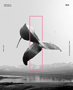 《三峰摄影》这些脑洞大开的海报设计一定会让你眼前一亮