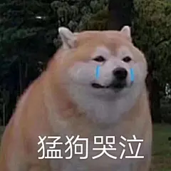 一组狗子表情包