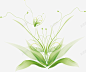 清新时尚绿色植物矢量图高清素材 网页 设计图片 免费下载 页面网页 平面电商 创意素材
