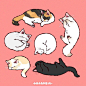 绘画学习 <br/>可爱的猫咪插画丨たたメーピ  twi：tatamepi ​​​​