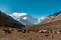 珠穆朗玛峰：（英语：Mount Qomolangma；Mount Everest，藏语：ཇོ་མོ་གླང་མ་，尼泊尔语：सगरमाथा），简称珠峰，是喜马拉雅山脉的主峰，同时是世界海拔最高的山峰，位于中国与尼泊尔边境线上，北部在中国西藏定日县境内（西坡在定日县扎西宗乡，东坡在定日县曲当乡，有珠峰大本营），南部在尼泊尔境内，是世界最高峰，也是中国跨越四个县的珠穆朗玛峰自然保护区和尼泊尔国家公园的中心所在。