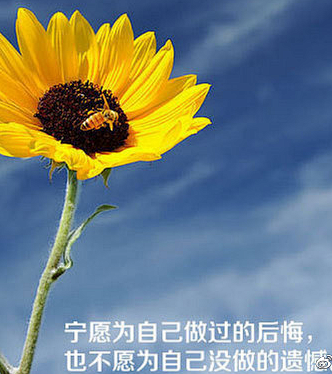 你成不了心态的主人，必然沦为情绪的奴隶