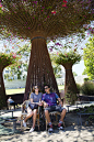 Victoria and Allan, July 8, 2014 in the Getty's Garden